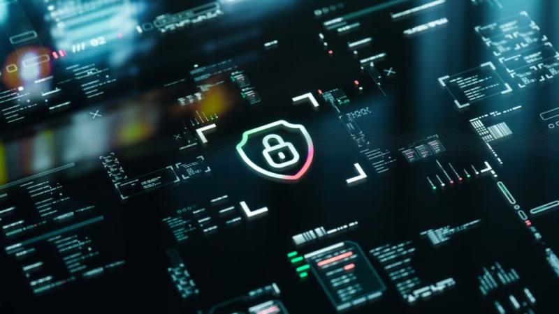 新宾满族自治县软件开发公司